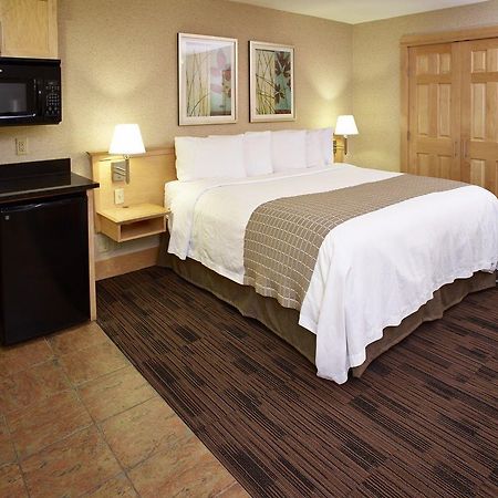 Livinn Hotel Minneapolis North / Fridley Dış mekan fotoğraf